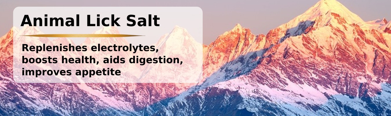 Animal Lick Salt